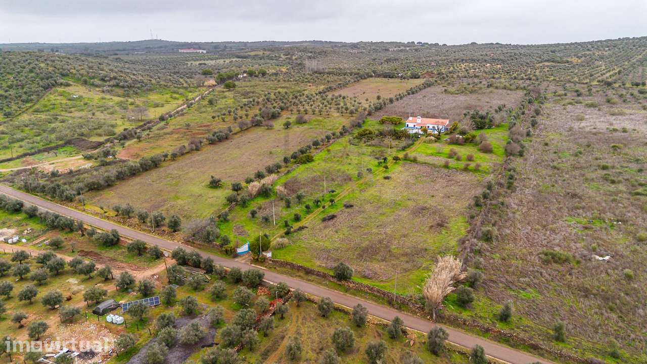 Herdade Proximo a Elvas - Grande imagem: 4/46