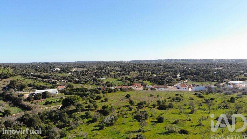 Terreno em Barão de São Miguel - Grande imagem: 3/30