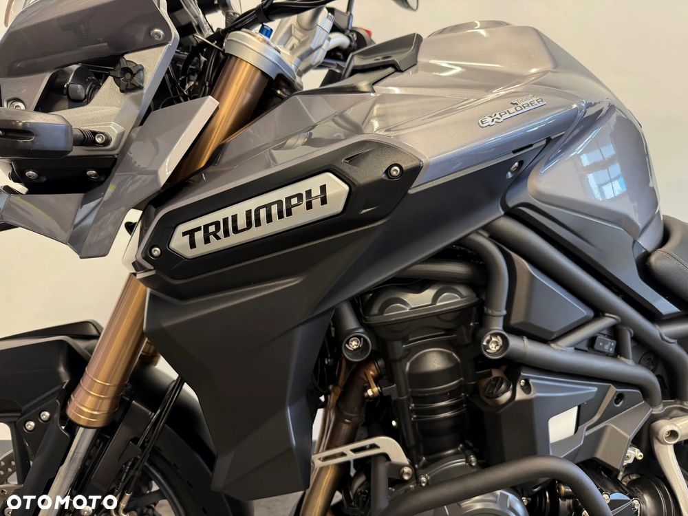 Triumph Tiger - 21