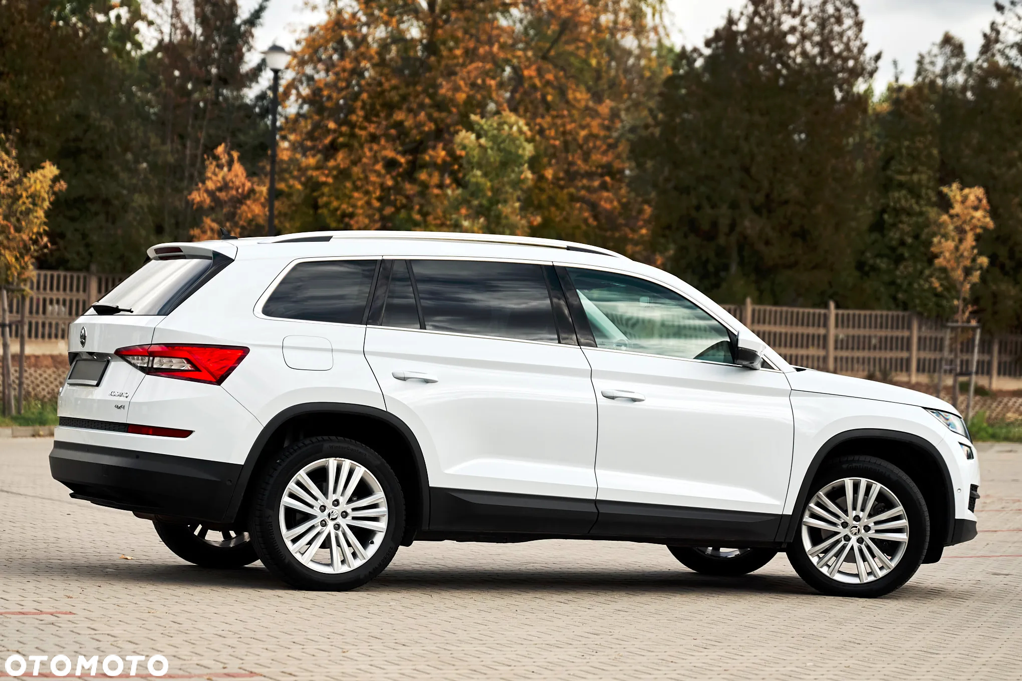 Skoda Kodiaq 2.0 TDI 4x4 Business DSG - 2