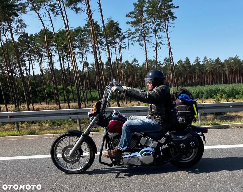 Harley-Davidson Softail - 3
