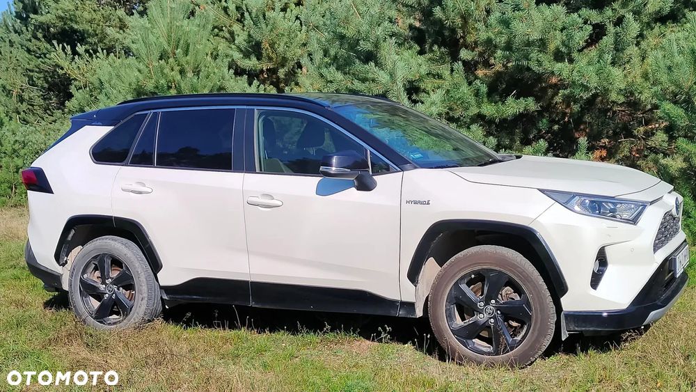 Toyota RAV4 2.5 Hybrid Selection 4x2 - 2