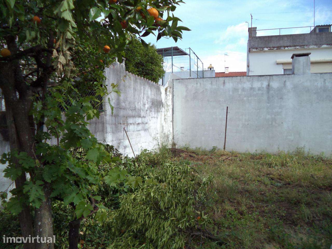 Terreno Urbano, 2 lotes / Entroncamento (Centro) - Grande imagem: 5/5