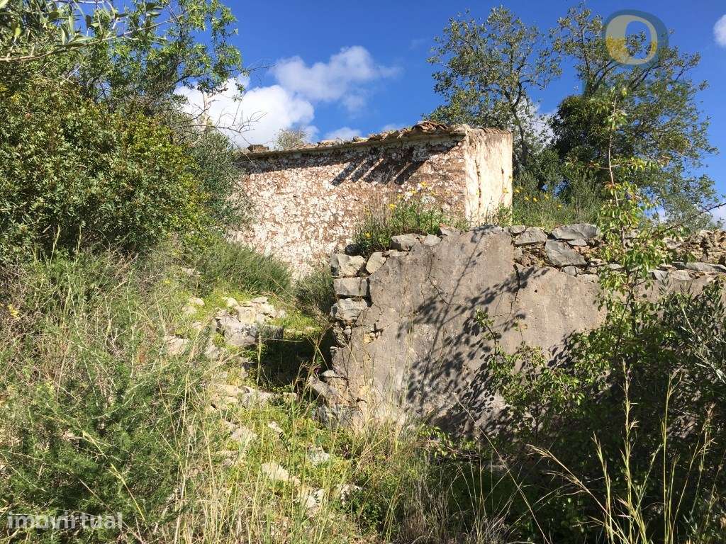 Loulé - Terreno com 9.800m2, permitindo a construção de uma moradia - Grande imagem: 2/5