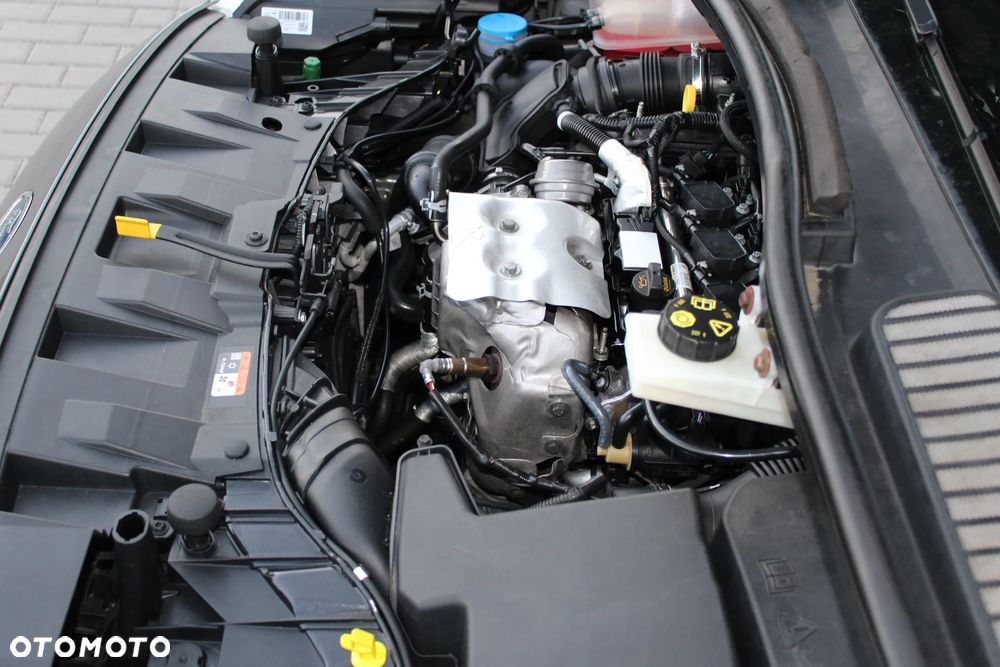 Ford C-MAX 1.0 EcoBoost Edition ASS - 17