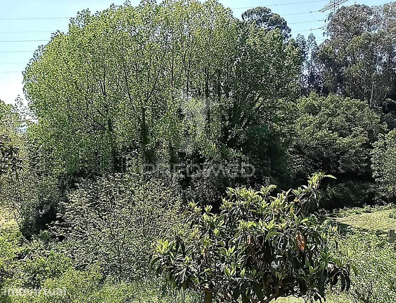 Moradia com Terreno e Projeto Aprovado - Grande imagem: 5/35