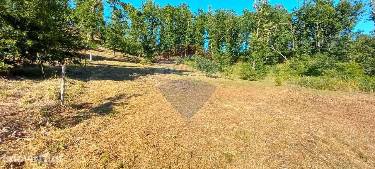 Terreno  para venda - Grande imagem: 2/16