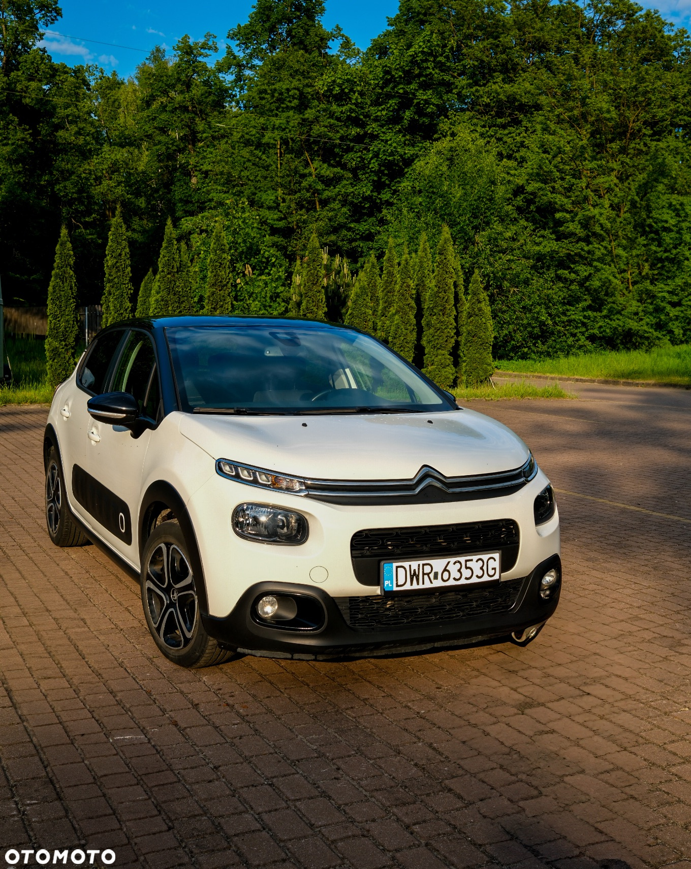 Citroën C3 1.2 PureTech Shine - 7