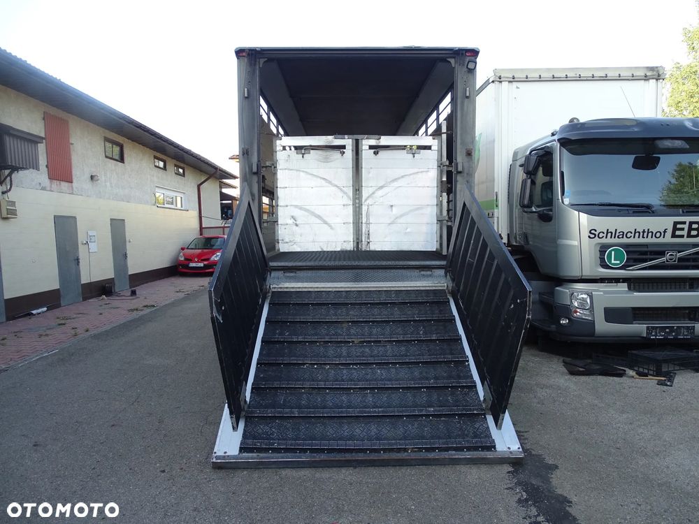 MAN TGX 18.400 DO ŻYWCA / ZWIERZĄT / BYDŁA / Z NIEMIEC / - 5