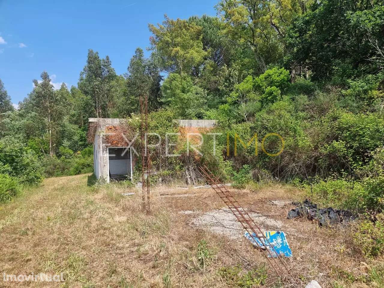 Quinta a 2 quilómetros do Rio Mondego - Tábua - Grande imagem: 2/17