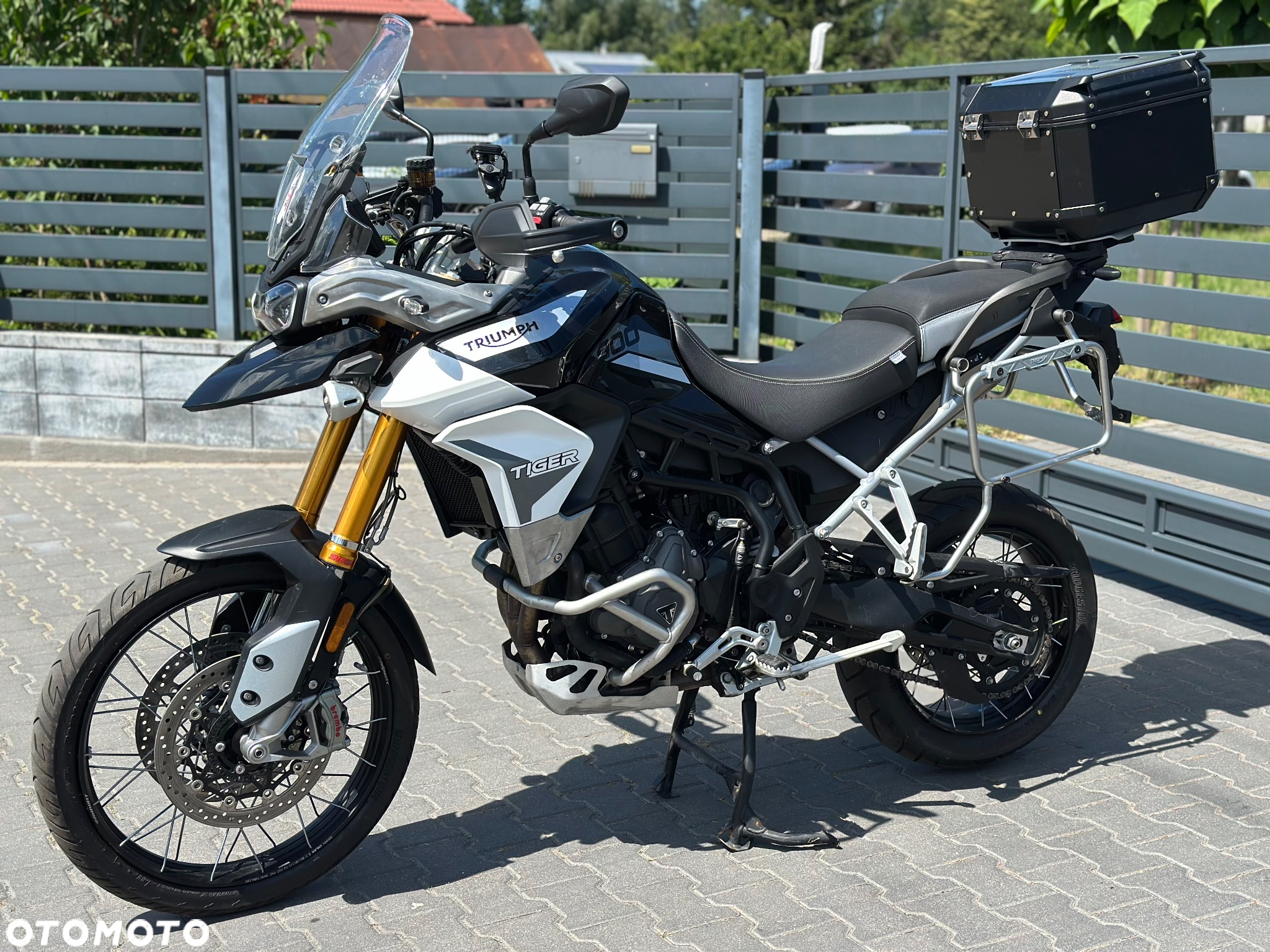 Triumph Tiger - 11