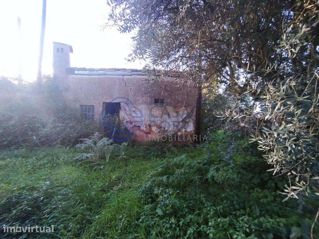 Terreno com ruína para reconstruir na cidade de Tomar no Centro de Por - Grande imagem: 2/37