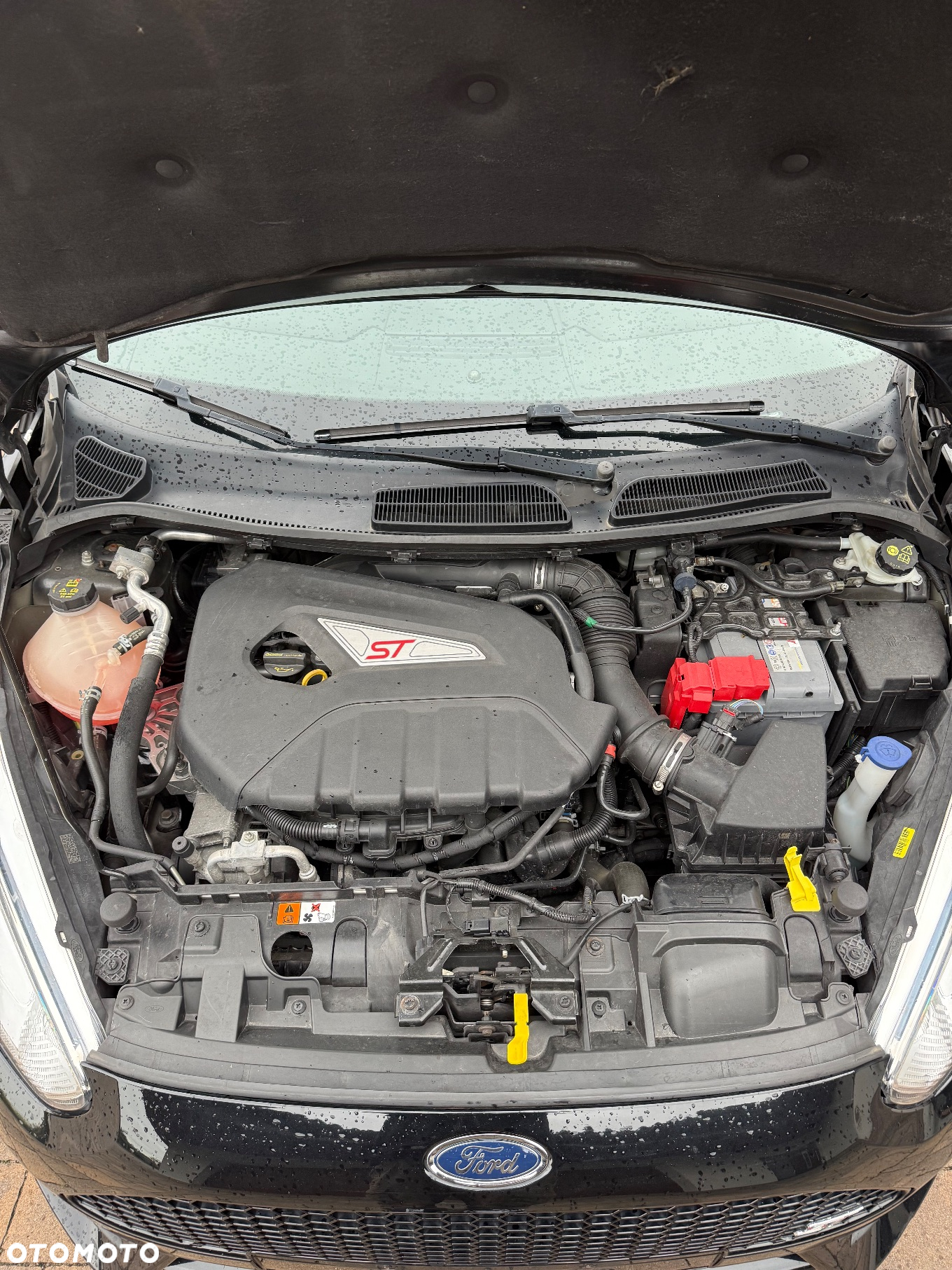 Ford Fiesta ST2 - 13