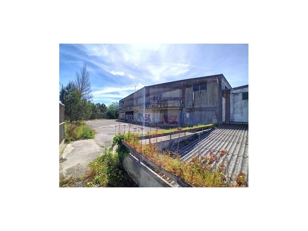 ARMAZÉM EM MELEÇAS - QUELUZ - Grande imagem: 2/11