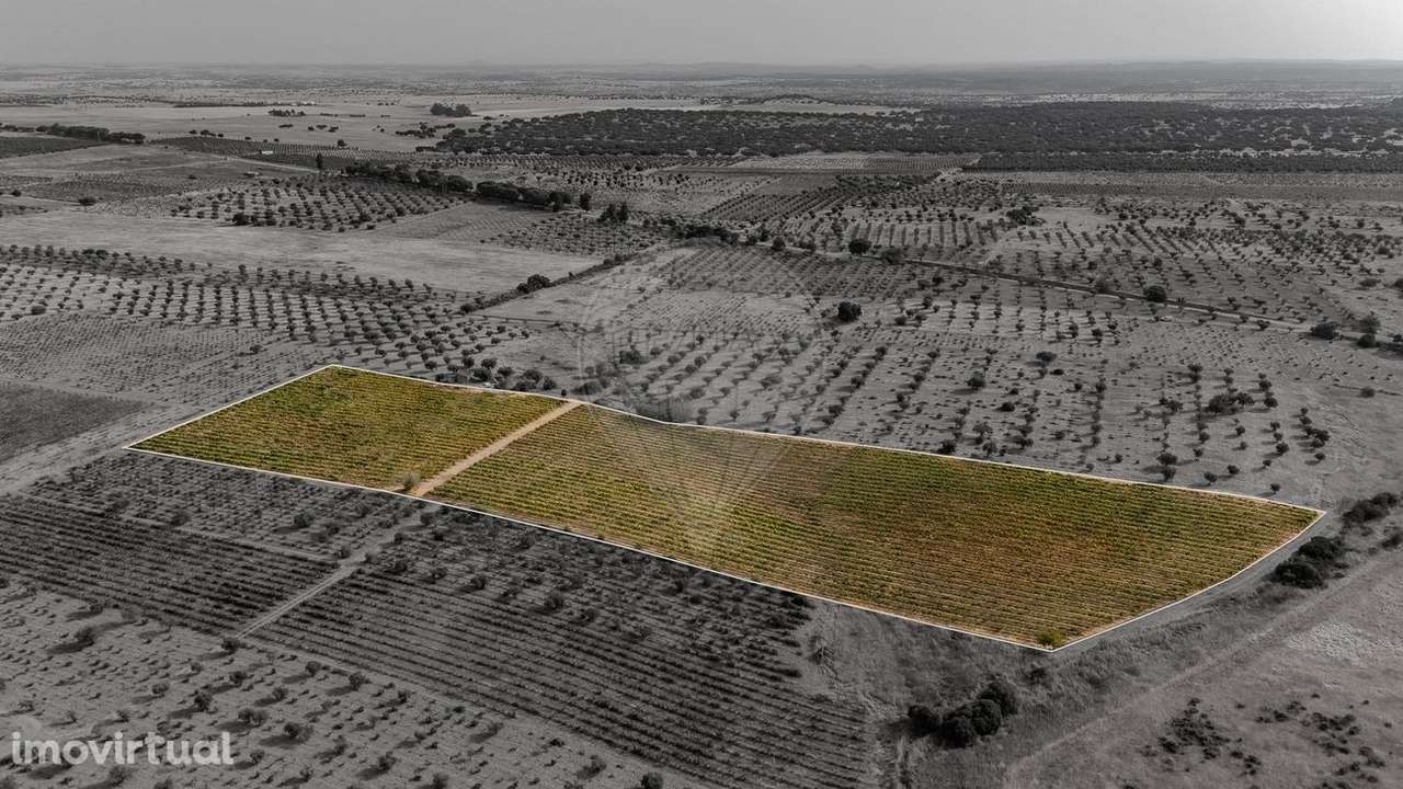 Terreno  para venda - Grande imagem: 3/26