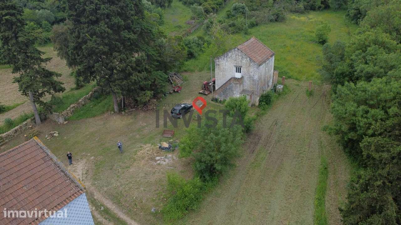 Quinta com 26 Hectares - Grande imagem: 3/50