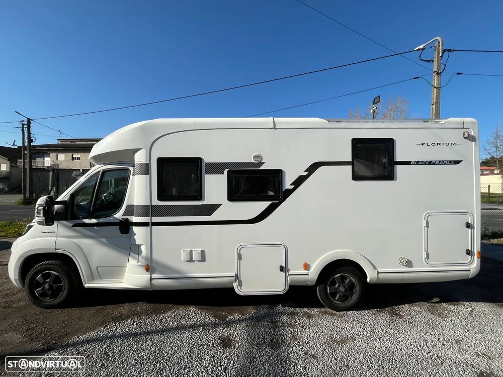 Florium Mayflower Black Pearl 70 - 4