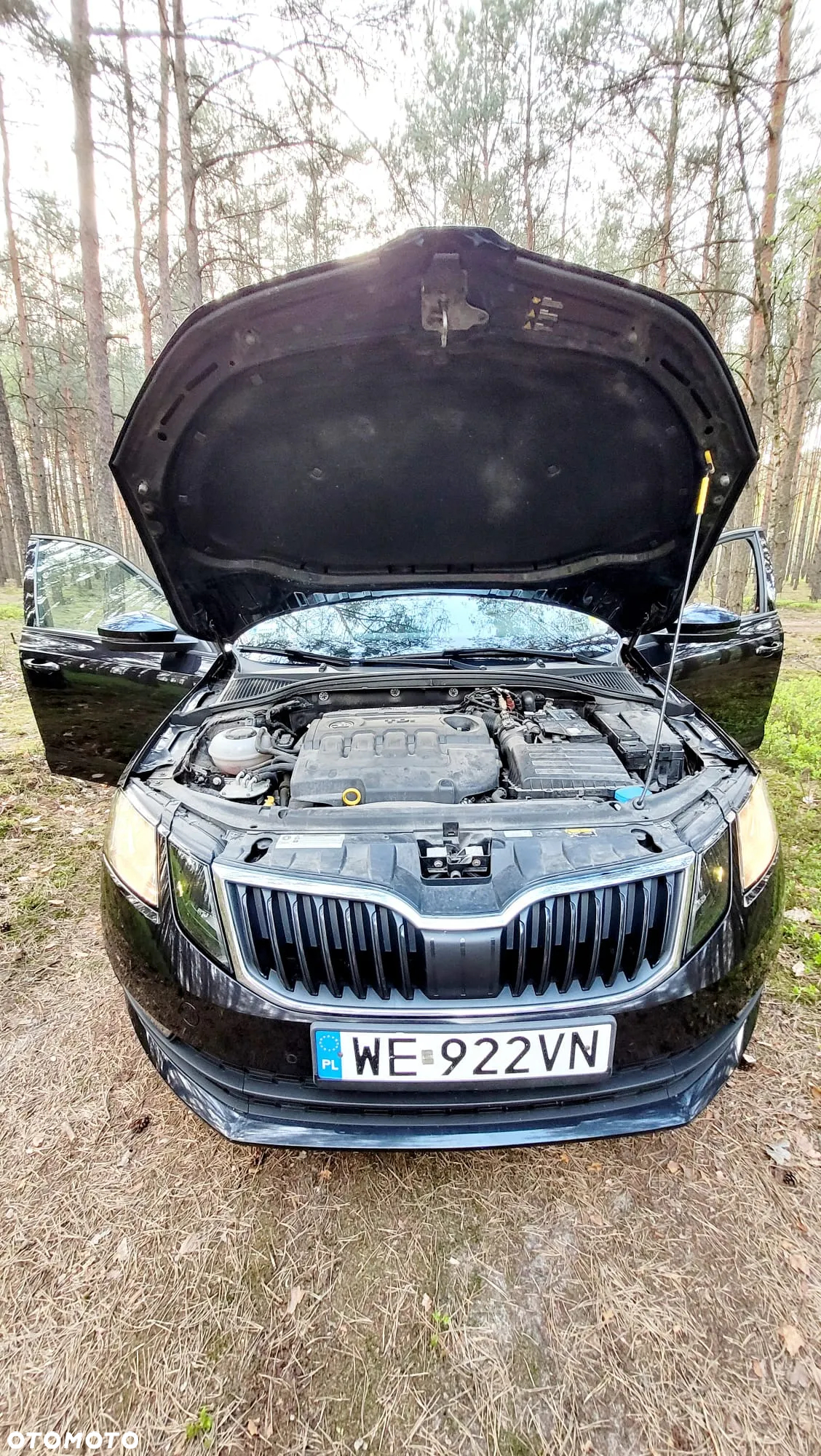 Skoda Octavia - 16