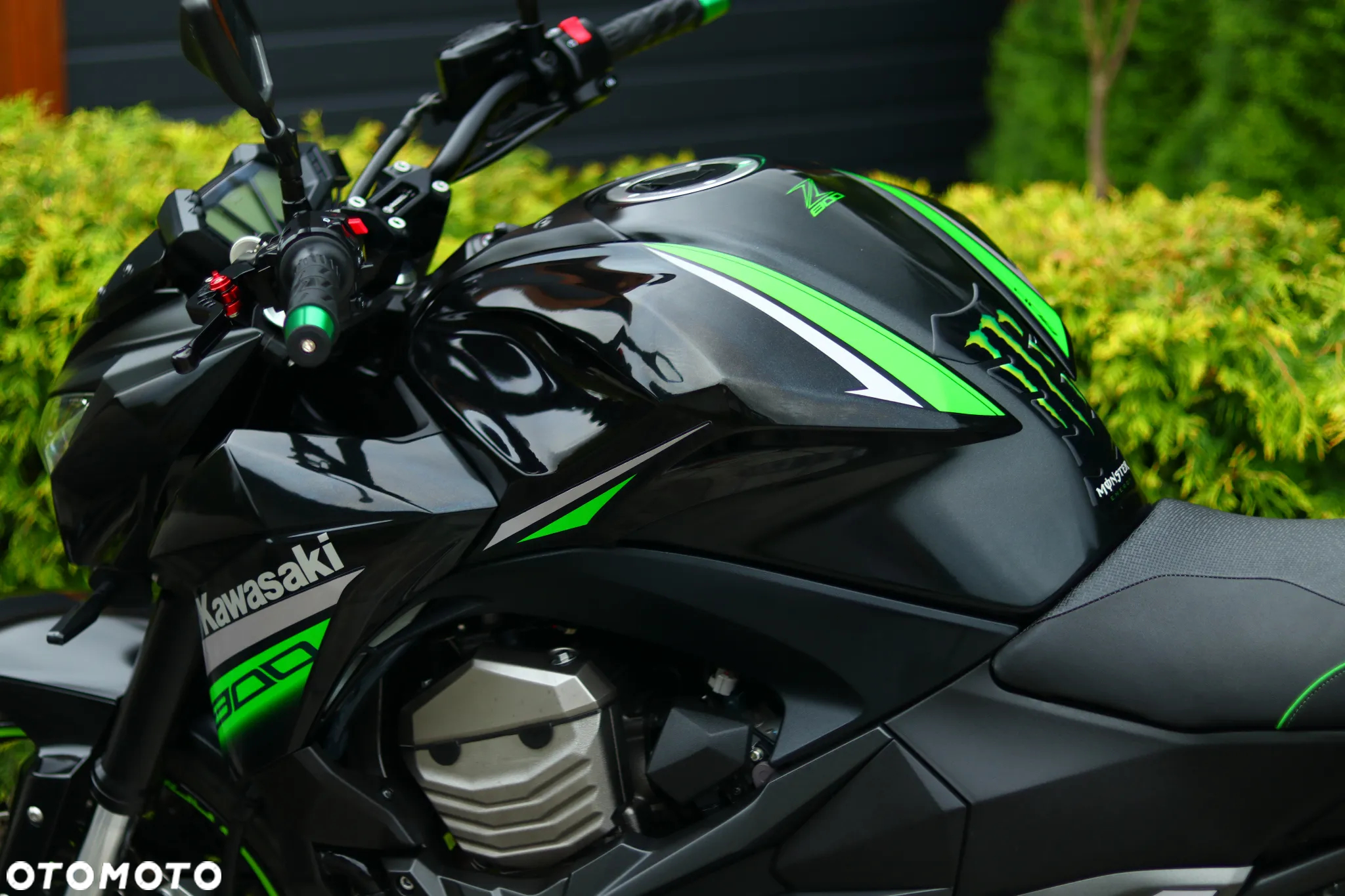Kawasaki Z - 30