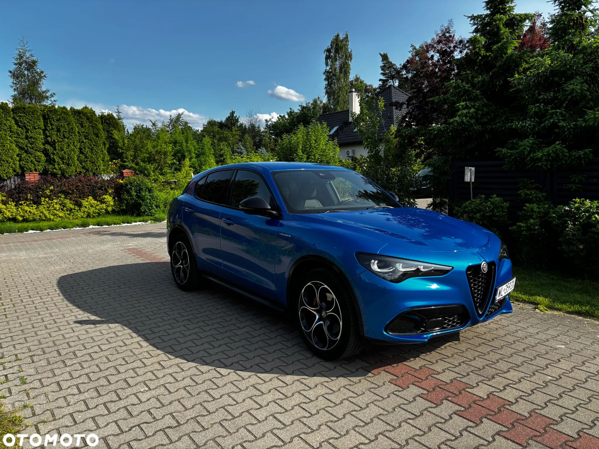 Alfa Romeo Stelvio 2.0 Turbo Veloce Q4 - 1