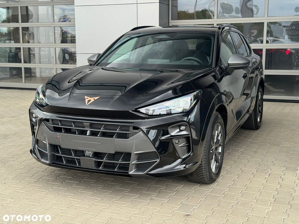 Cupra Terramar - 8