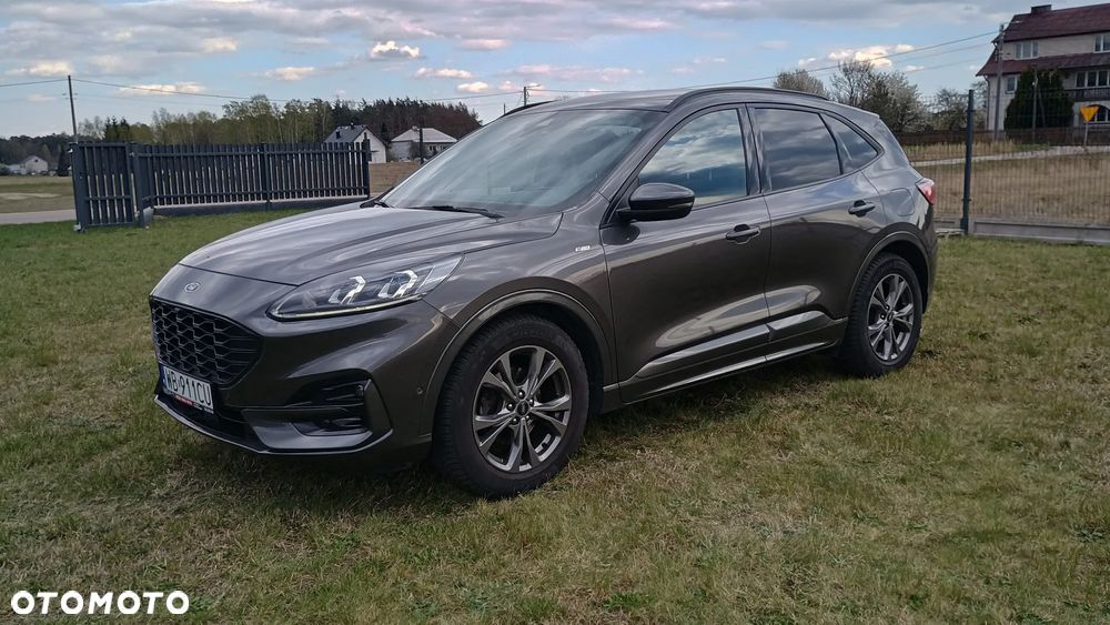 Ford Kuga 2.0 EcoBlue Hybrid ST-LINE X - 1