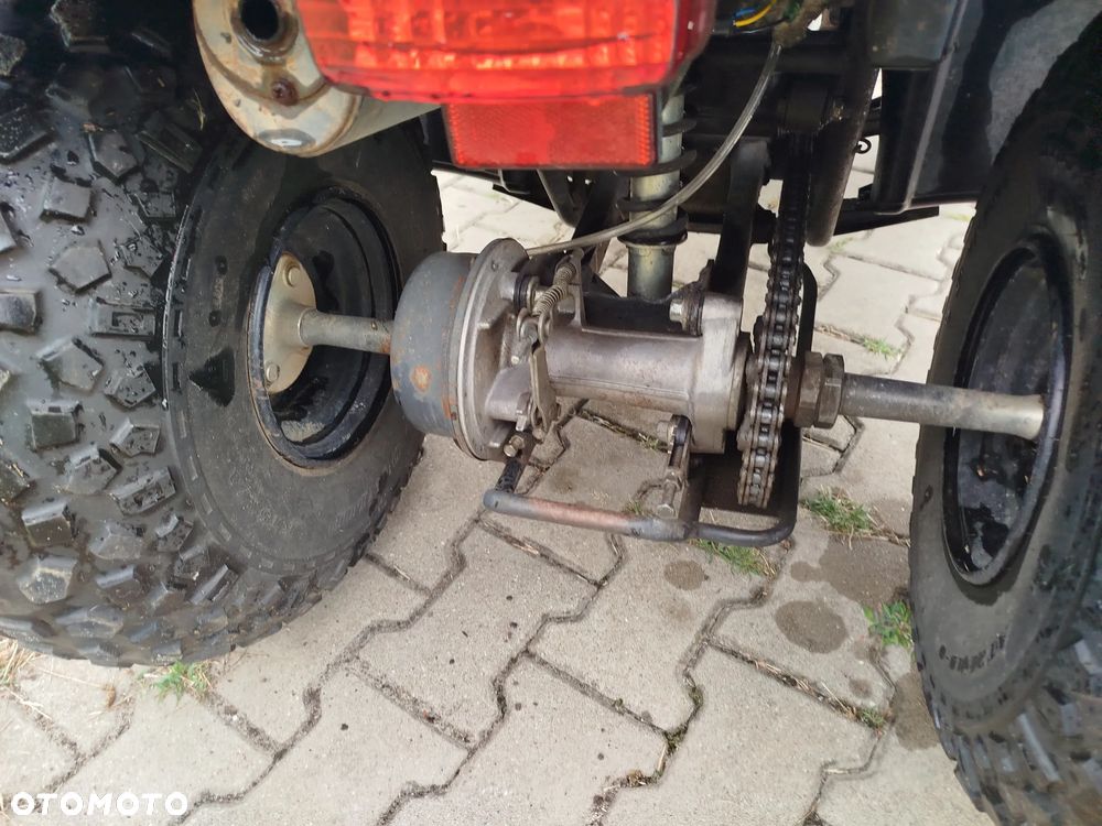 Yamaha Grizzly - 12