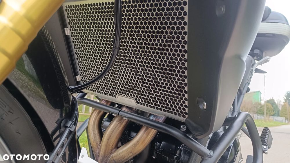 Triumph Tiger - 19