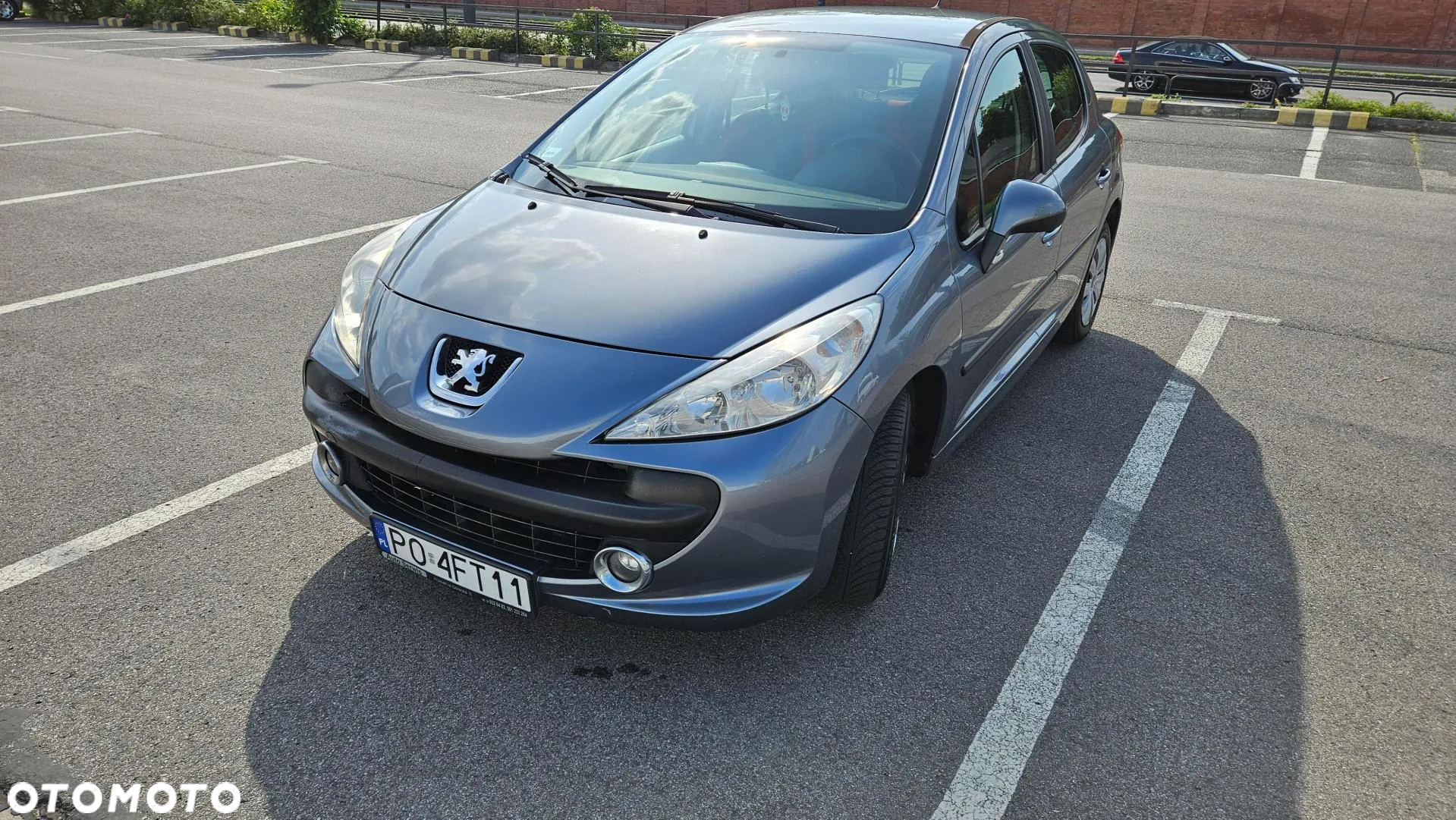 Peugeot 207 - 4