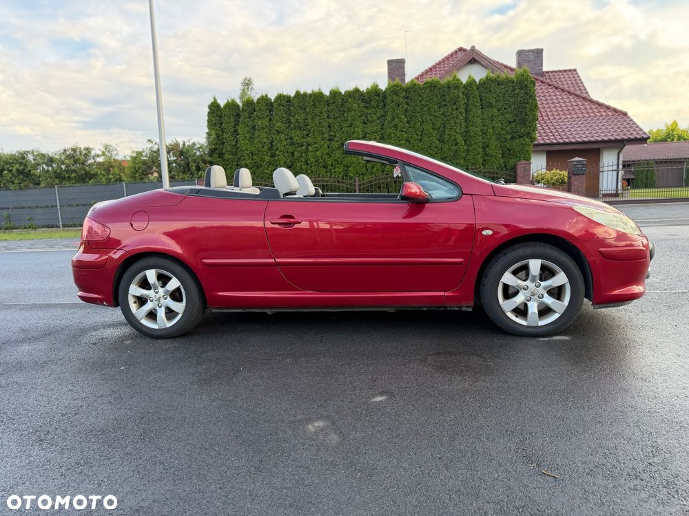 Peugeot 307 - 27