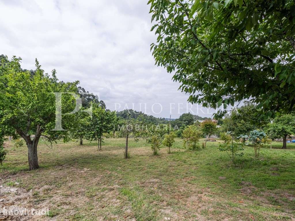 Moradia rústica em Landim - Grande imagem: 5/39