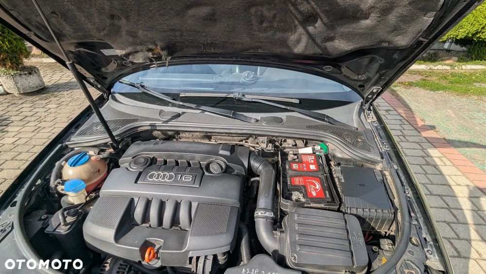 Audi A3 3-drzwiowe - 21