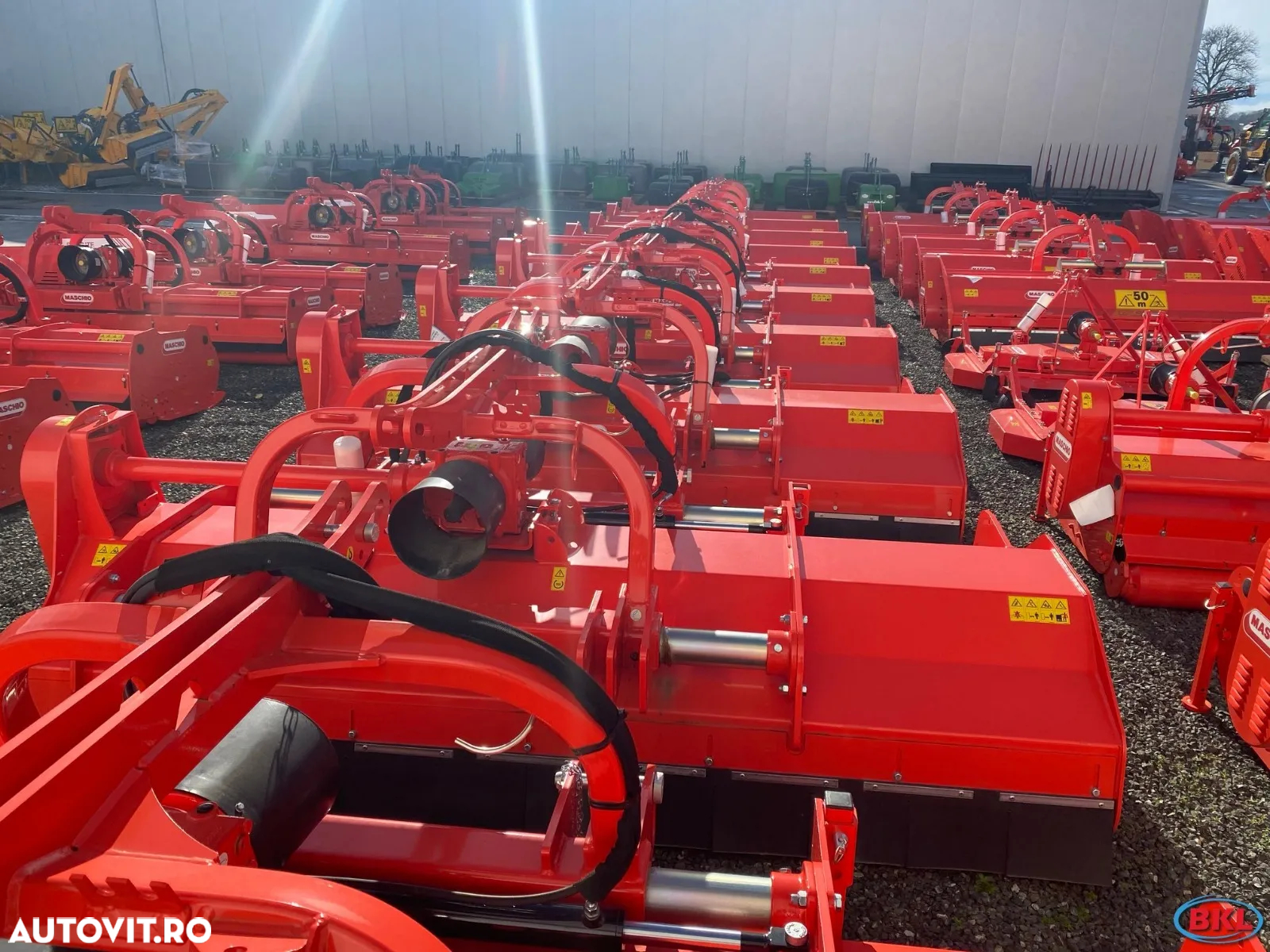 Maschio BIRBA,FURBA,BARBI,BELLA,BRAVA,CORAZZA,TIGRE,BISONTE,BUFALO,CHIARA,TORNADO,LEOPARD,GEMELLA,GIRAFFA - 3