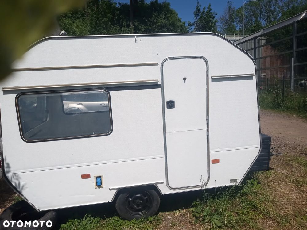 Wilk Sport 320 - 2