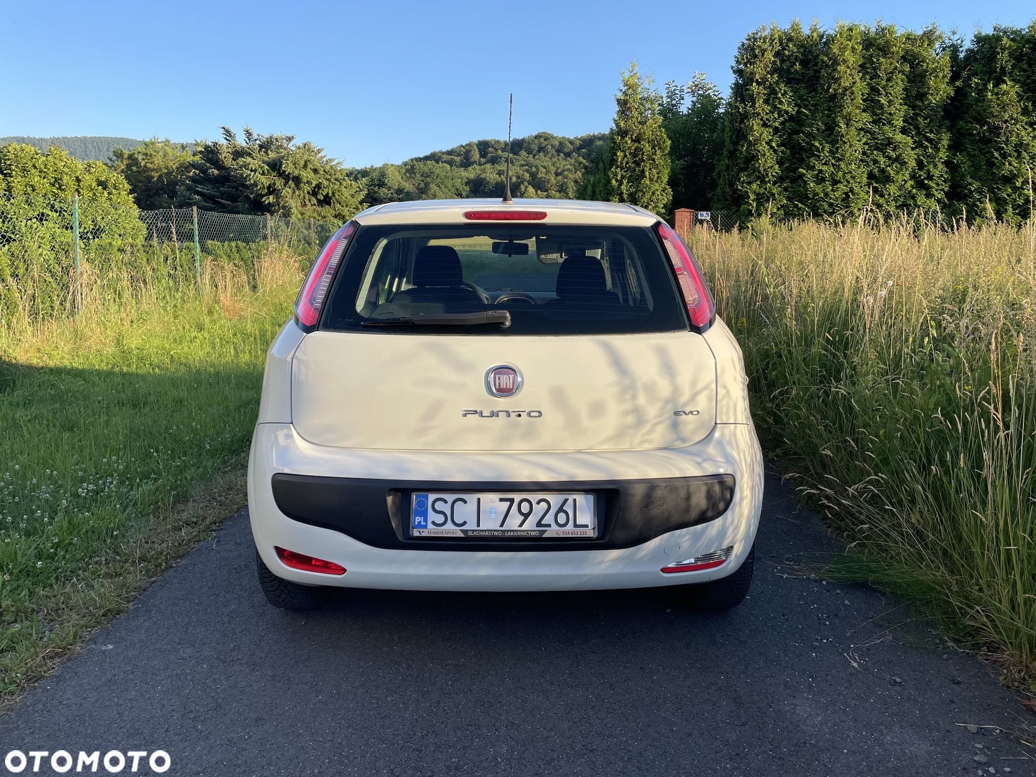 Fiat Punto Evo 1.3 Multijet 16V Active Euro5 - 6
