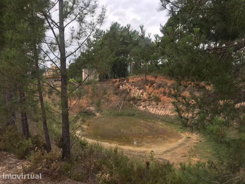 Quinta com uma pequena casinha agrícola na Chancelaria, Torres Novas - Grande imagem: 3/23