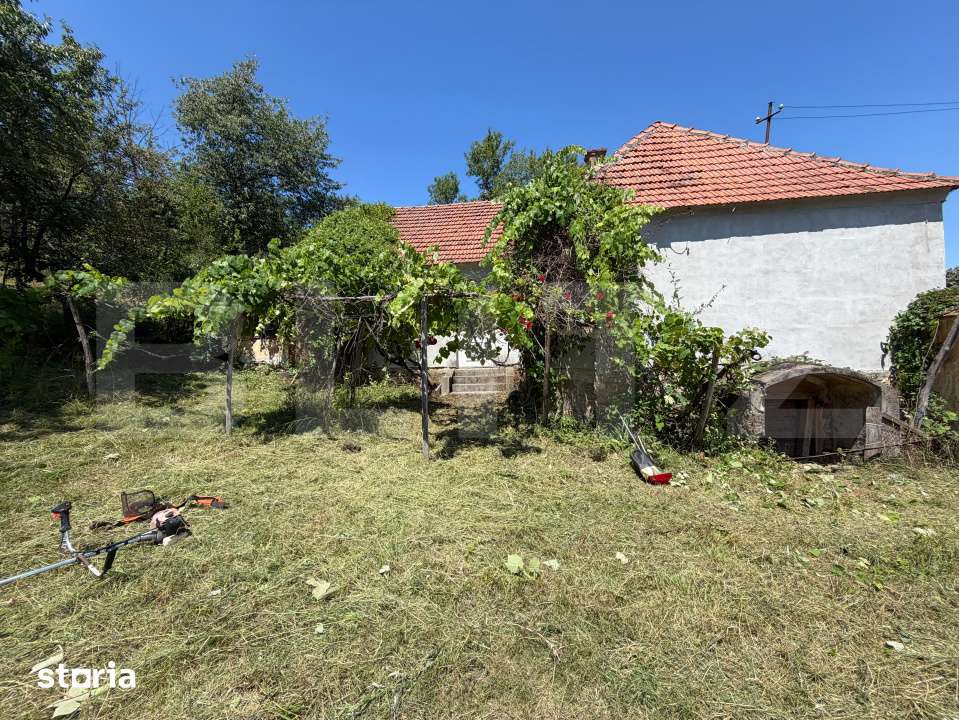 Casa cu teren generos de 2.674 mp–Langa Geoagiu Bai - Imagine principală: 3/11