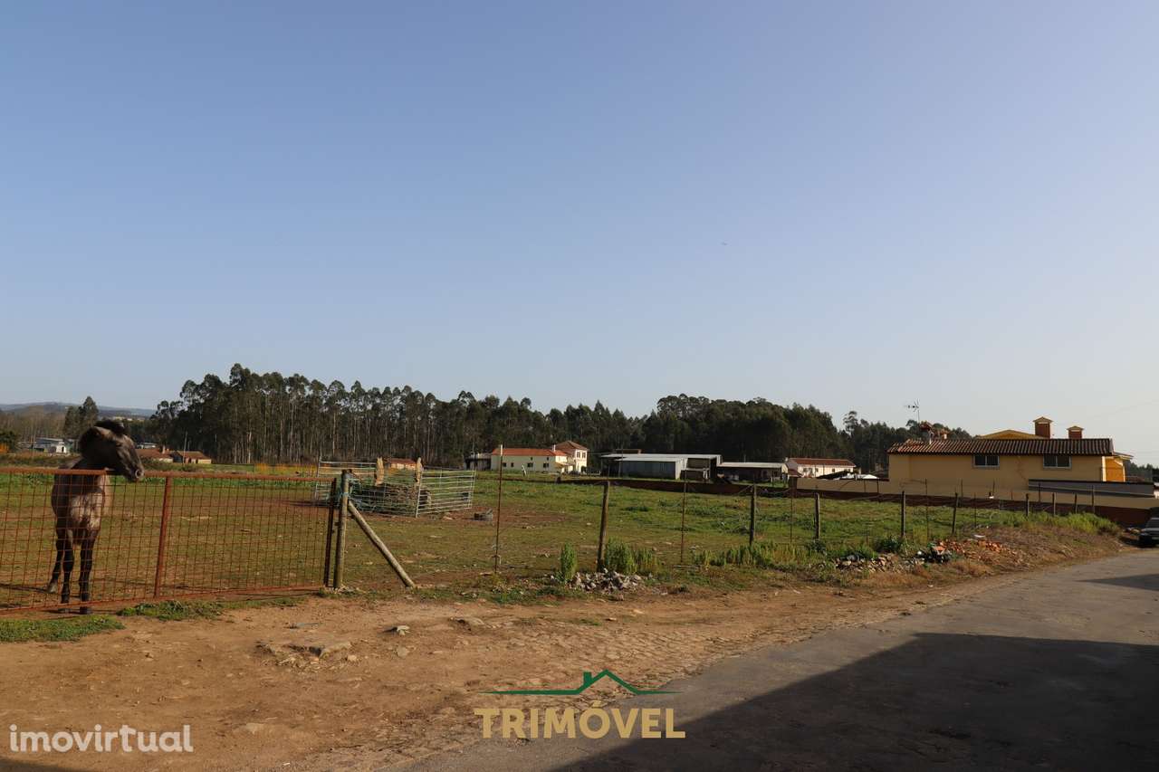 Terreno para construção - Loureiro - Grande imagem: 3/10