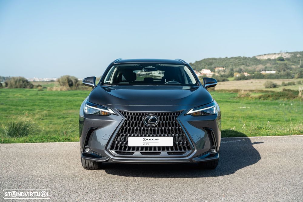 Lexus NX 350h Executive Plus - 3
