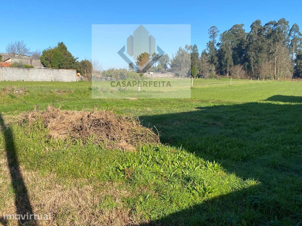 Terreno com 4 Mil Metros para Construção - Seixezelo - Grande imagem: 2/8