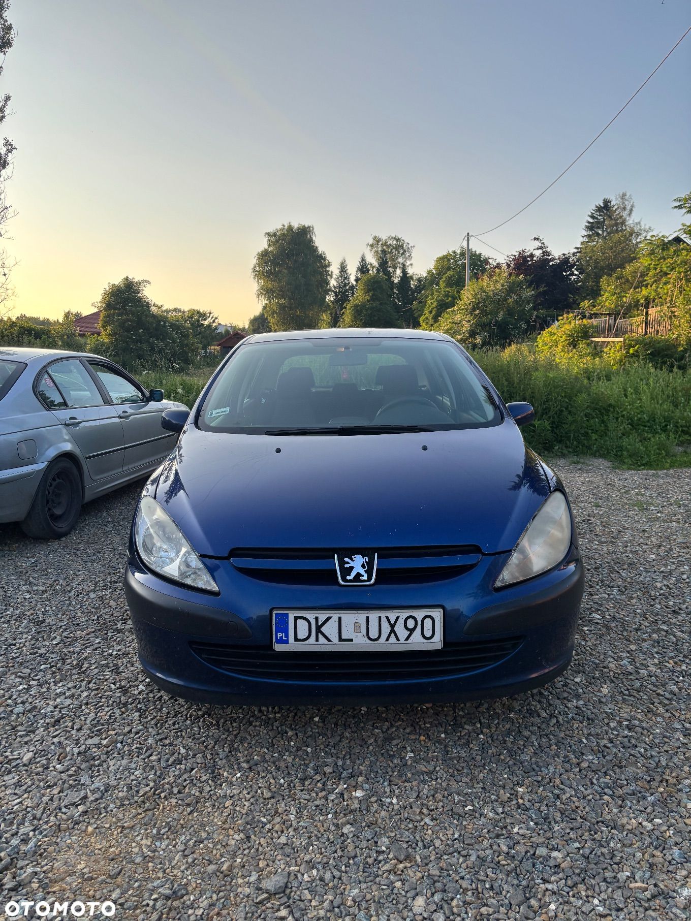 Peugeot 307 1.4 Mistral - 1