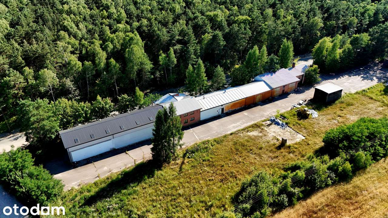 Zjazd z S19, Bydynki 1480 m2 działka 1,41 ha