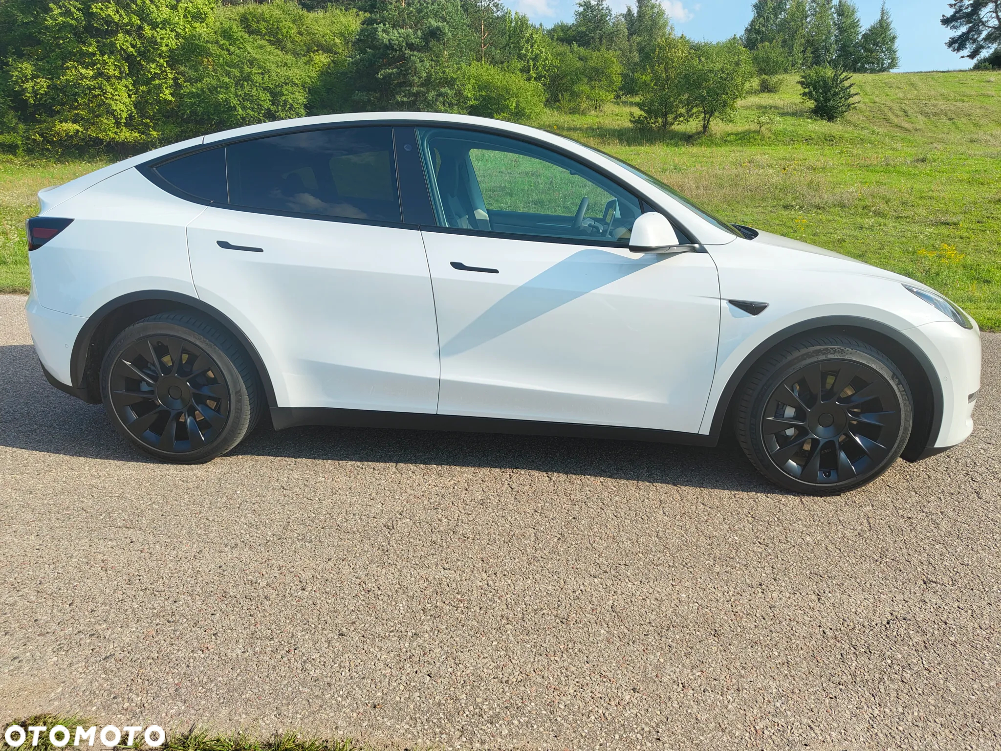 Tesla Y Model Long Range Dual Motor AWD - 6