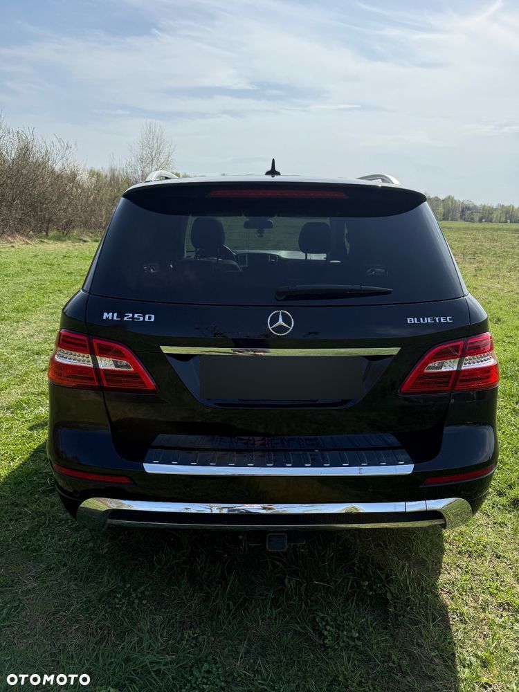 Mercedes-Benz ML 250 BlueTec 4-Matic - 2