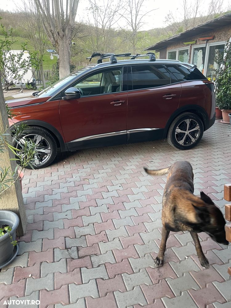 Peugeot 3008 BlueHDi 150 Stop & Start Allure - 3