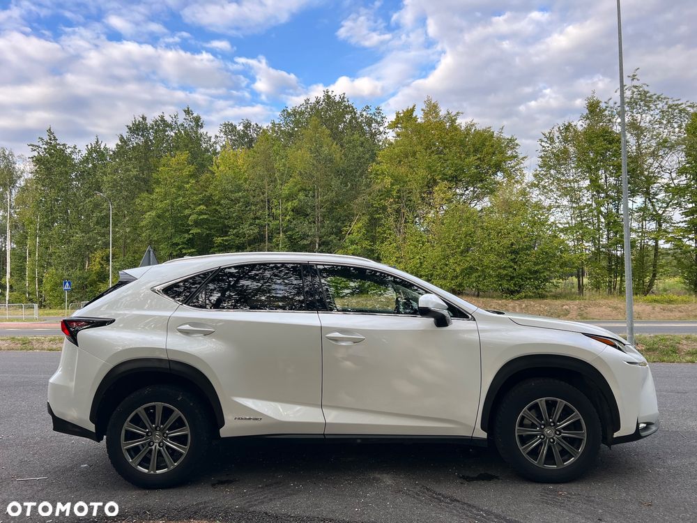Lexus NX 300h Elegance AWD - 7