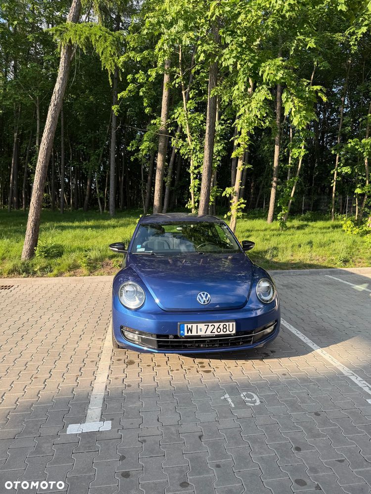 Volkswagen Beetle - 3