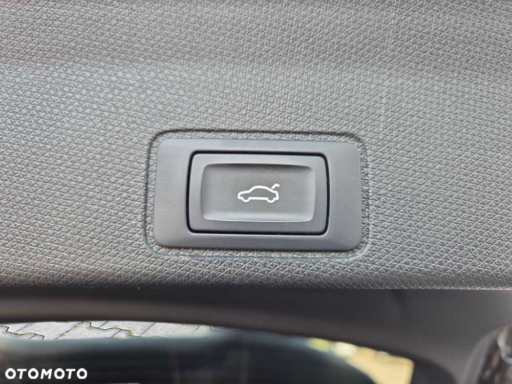 Cupra Terramar - 39