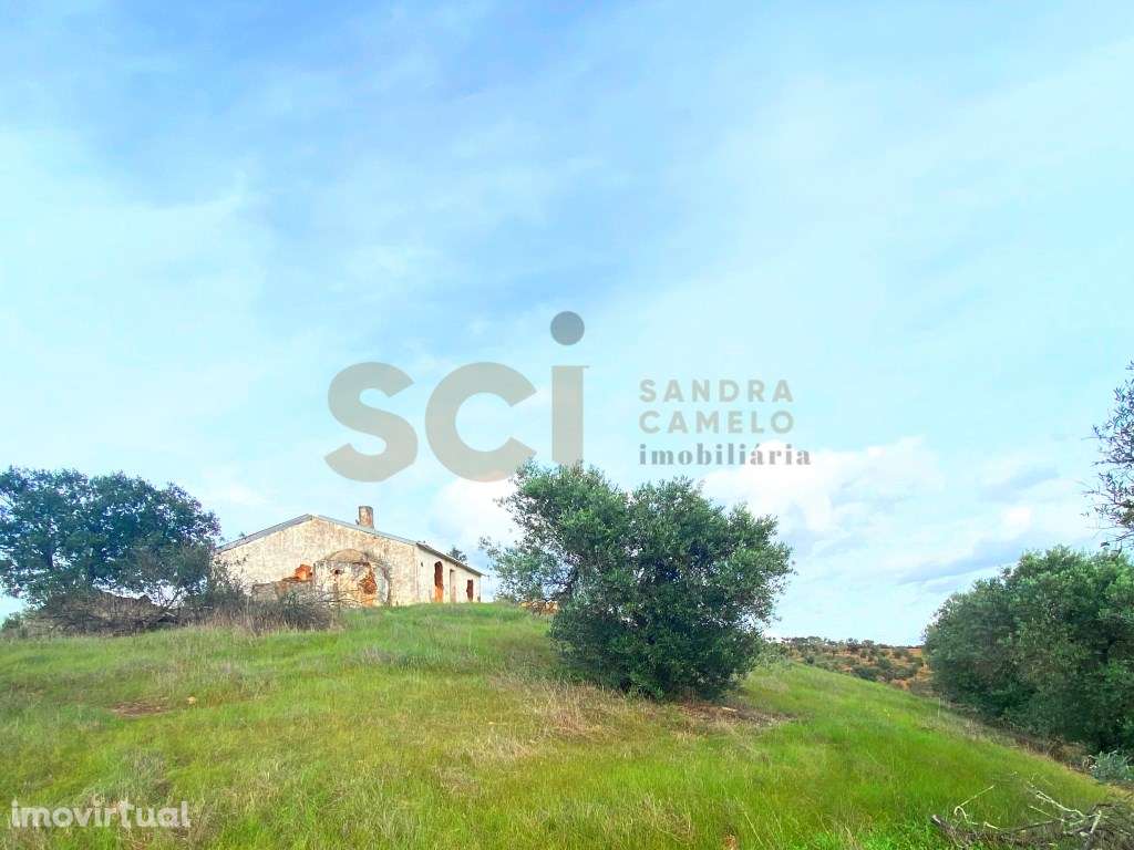 Quinta Isolada no Alentejo, para recuperar, com vista desafogada e ... - Grande imagem: 3/56