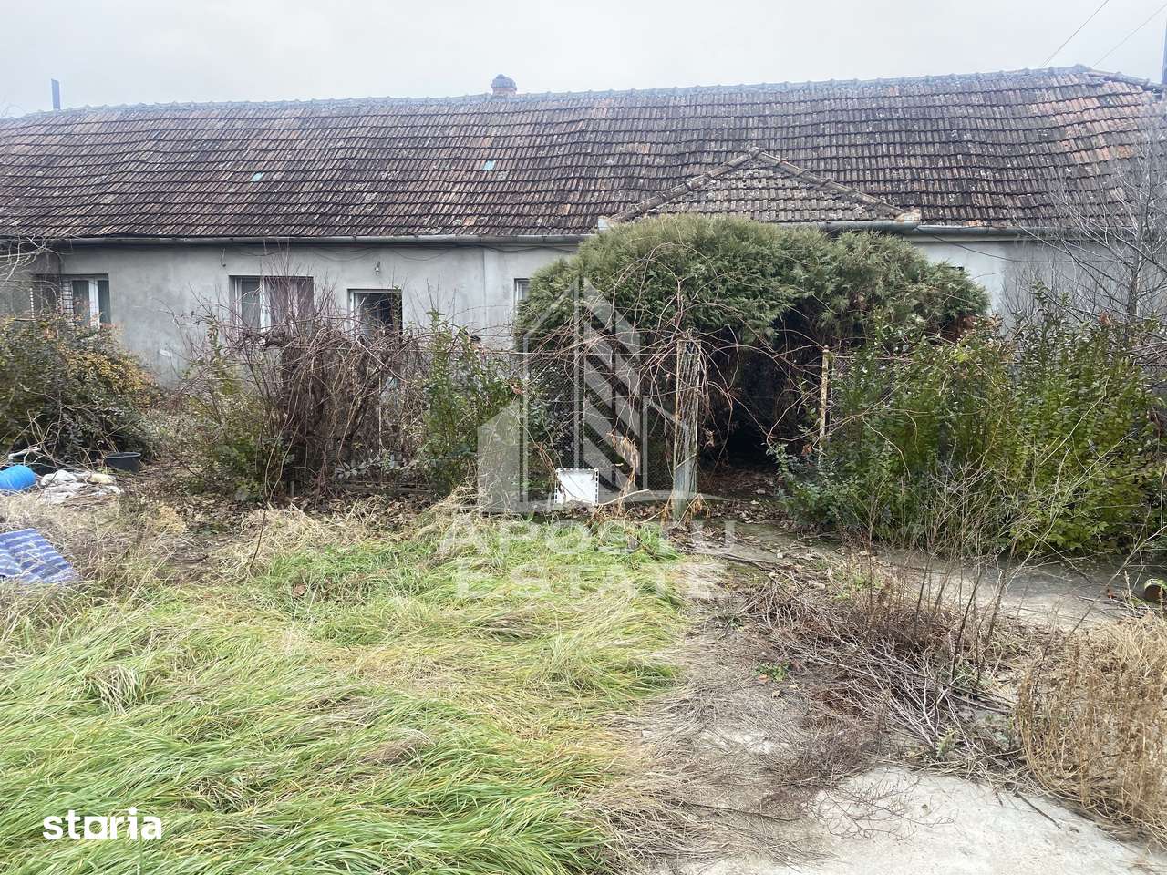4 camere, casa de vanzare - Timis (judet), Ghiroda - 9107634 • www ...